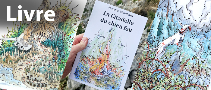 Livre La Citadelle du chien fou