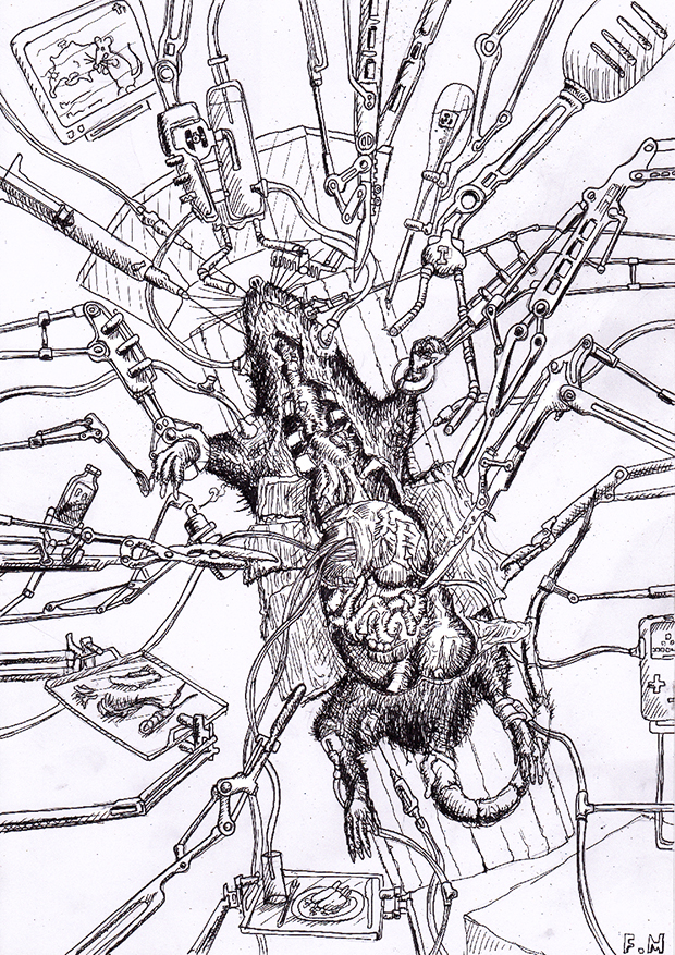un dessin de François Monthoux