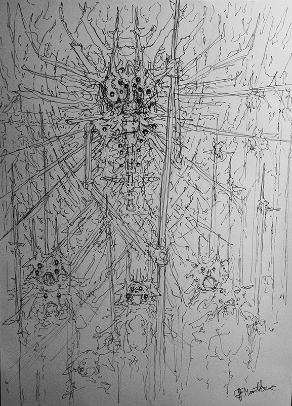 un dessin de François Monthoux