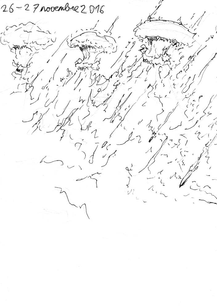 un dessin de rêve de François Monthoux