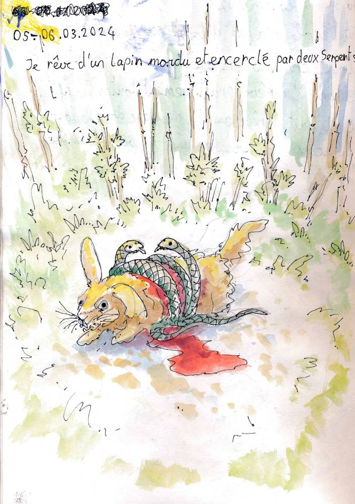 un dessin de rêve de François Monthoux