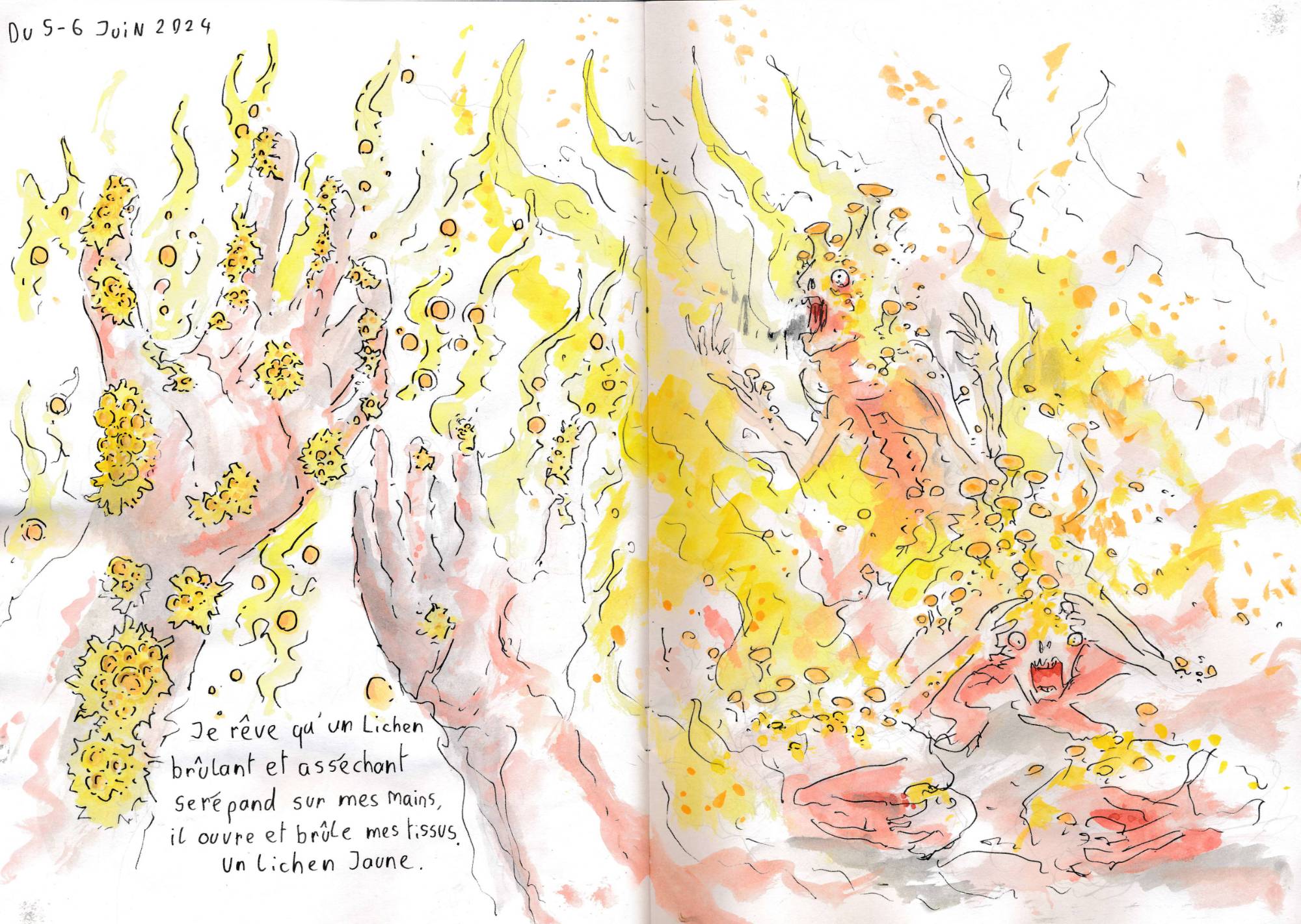 un dessin de rêve de François Monthoux