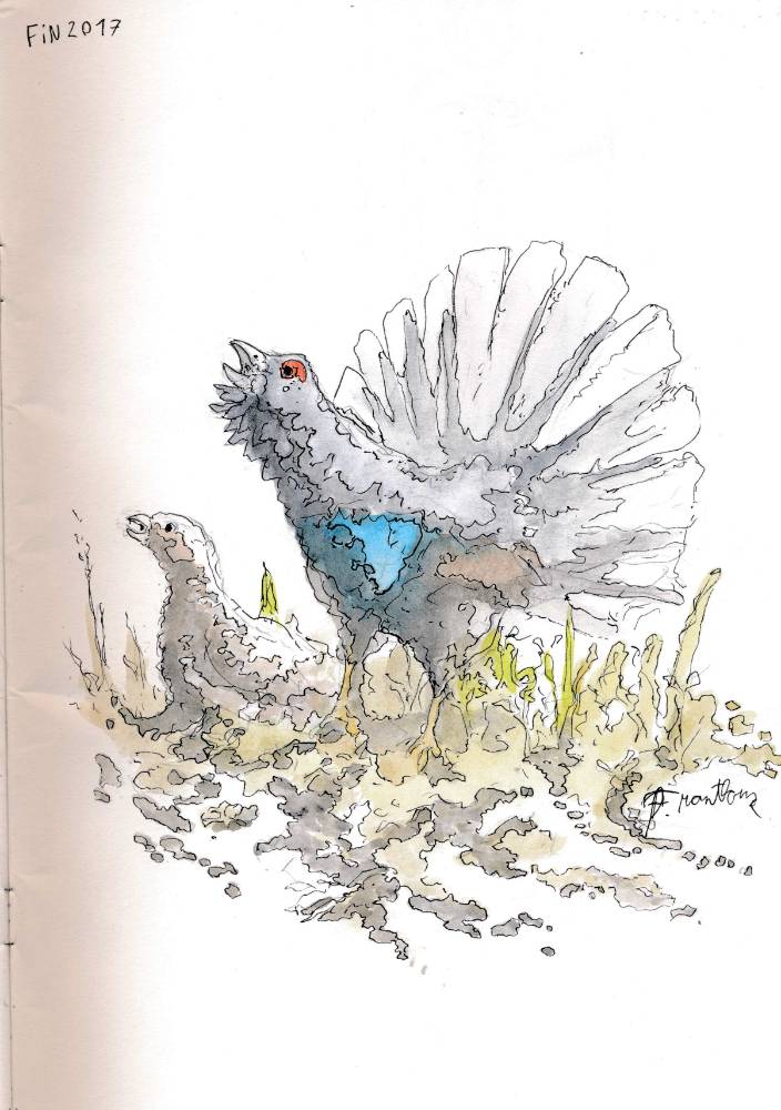 un dessin de rêve de François Monthoux