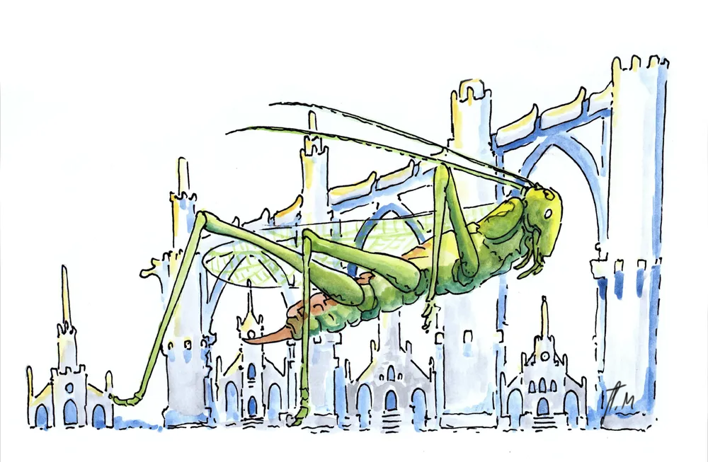 Dessin 2025