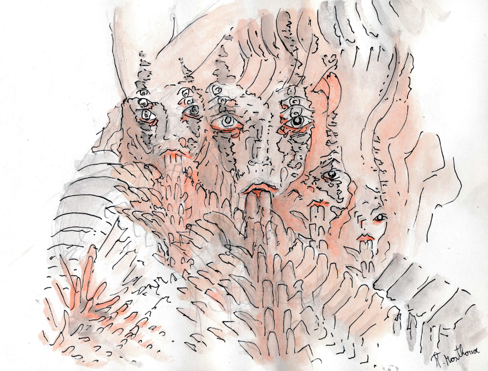 un dessin de François Monthoux