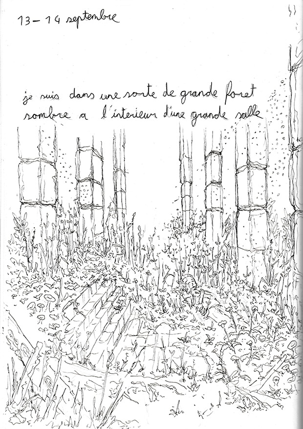 un dessin de rêve de François Monthoux