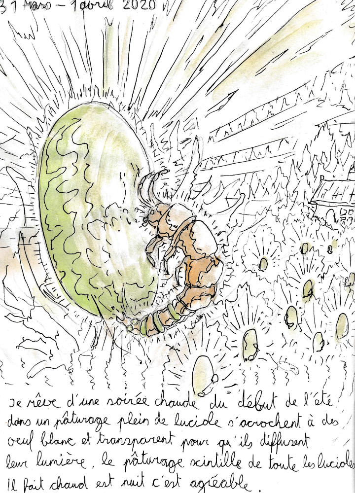 un dessin de rêve de François Monthoux