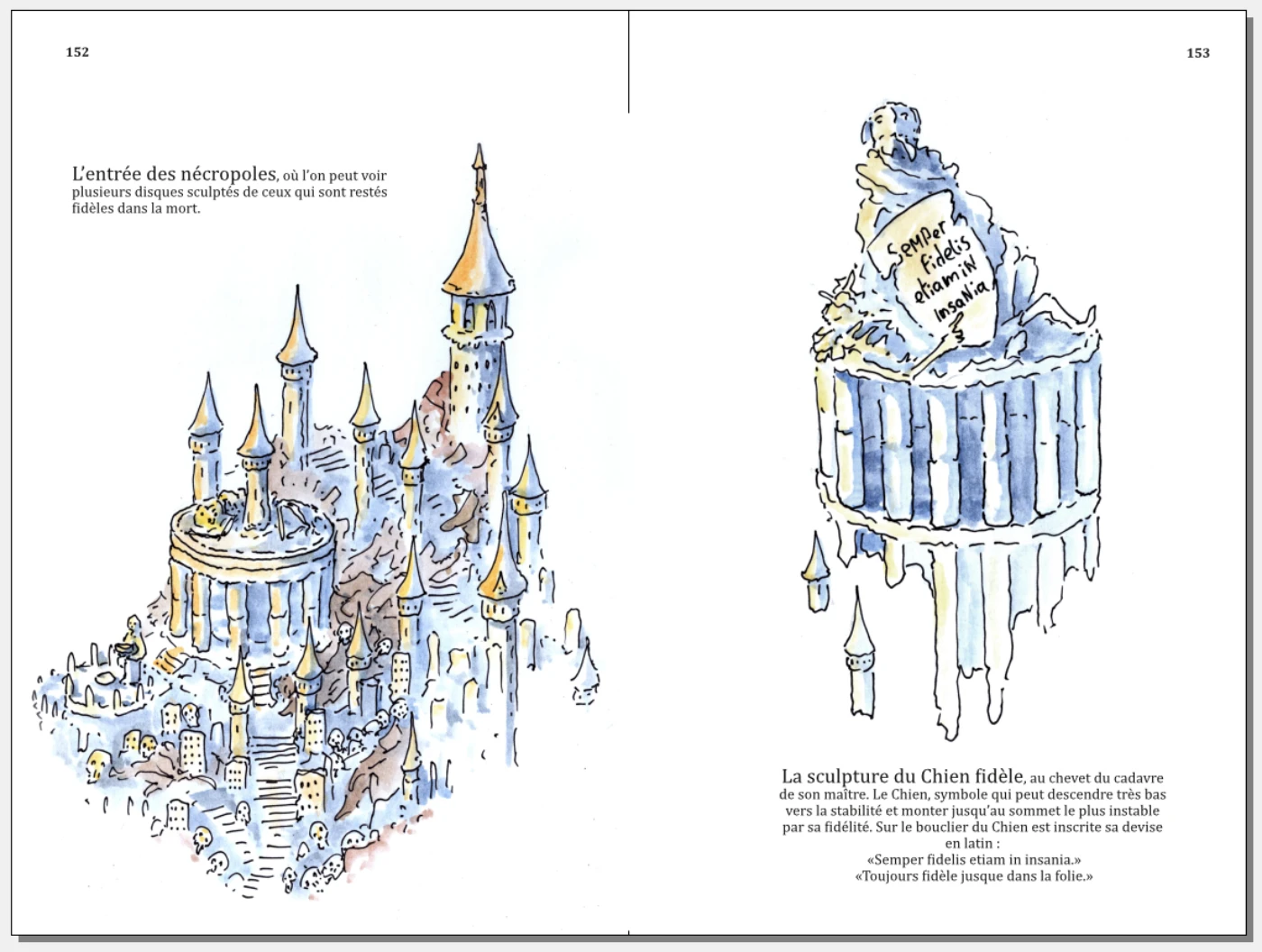 Livre La Citadelle du chien fou