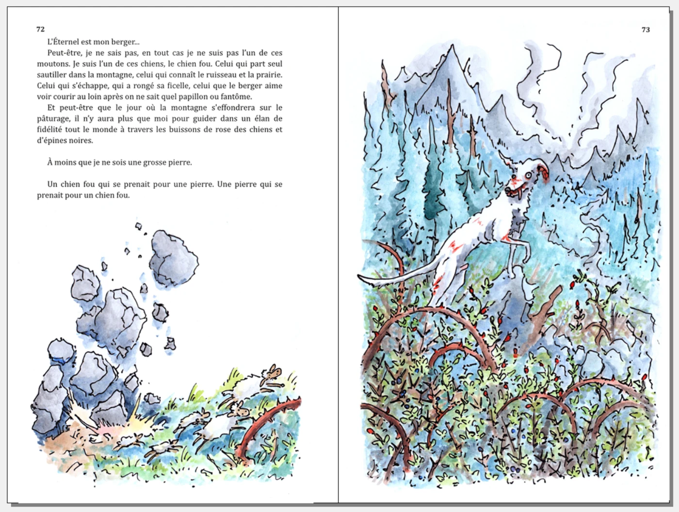 Livre La Citadelle du chien fou