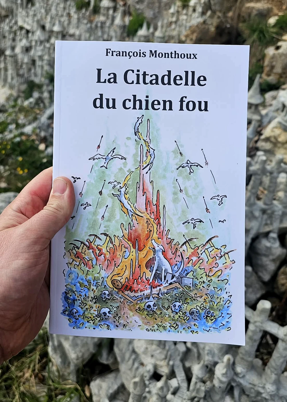 Livre La Citadelle du chien fou