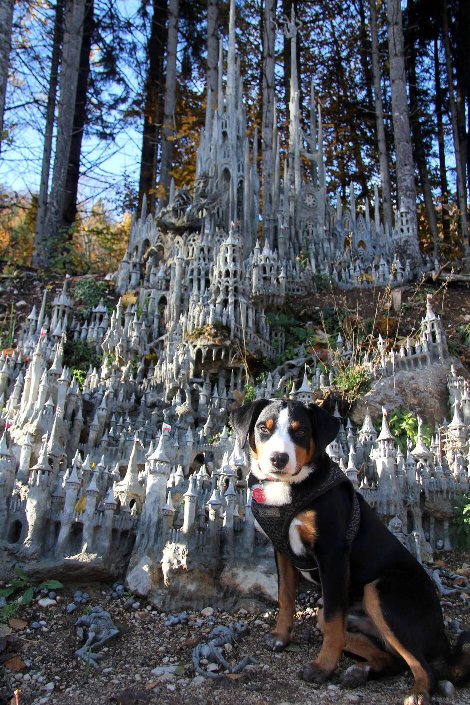 Image du chien du sculpteur suisse François Monthoux devant sa sculpture.