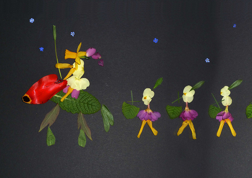 La Grande parade du printemps Composition florale sur papier noir, François Monthoux, avril 2011