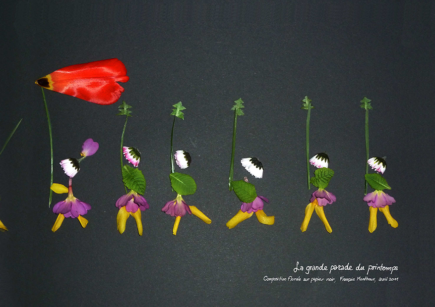 La Grande parade du printemps Composition florale sur papier noir, François Monthoux, avril 2011