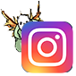 lien vers instagram de François Monthoux