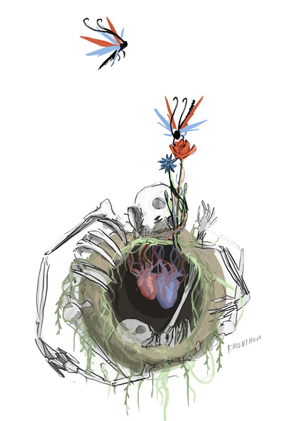 un dessin de François Monthoux
